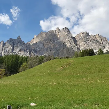 Daniela Apartamento *