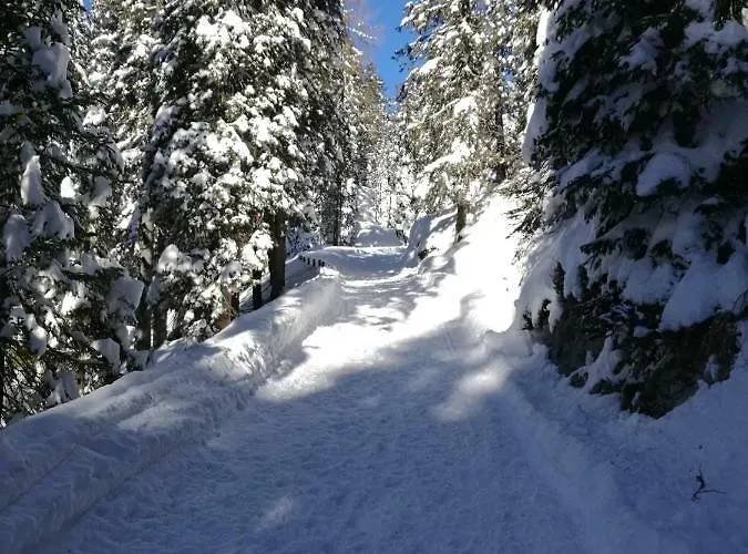 Daniela Cortina dʼAmpezzo