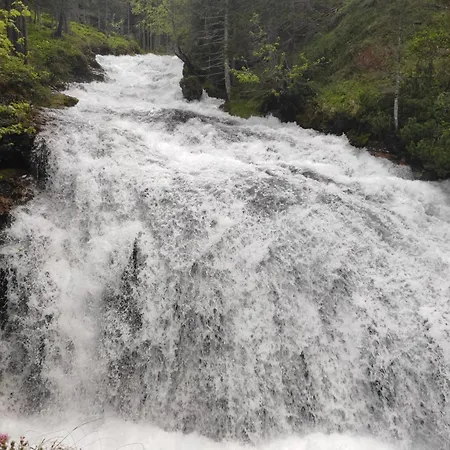Daniela Κορτίνα Ντ' Αμπέτσο