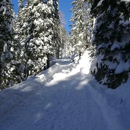 Daniela Cortina d'Ampezzo