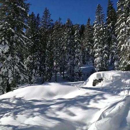 Appartement Daniela *